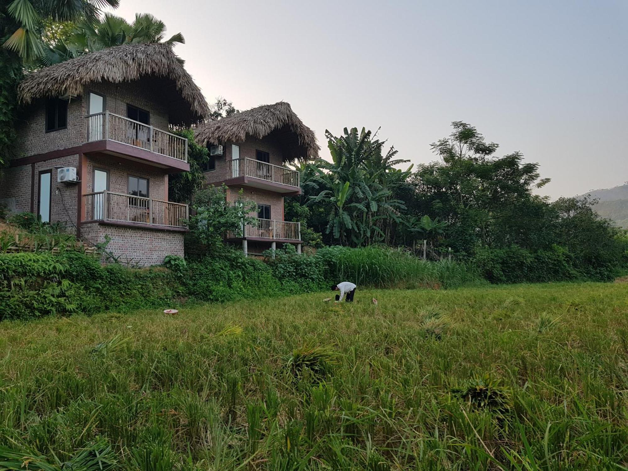 Vu Linh Palm House Homestay - Bungalow Yen Bai Kültér fotó