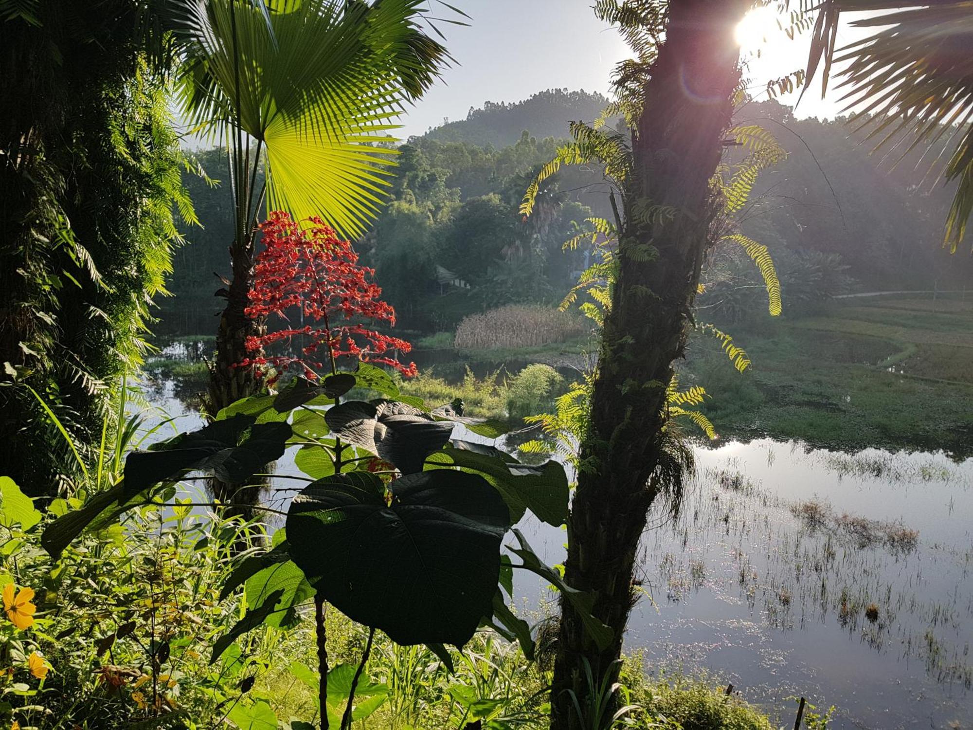 Vu Linh Palm House Homestay - Bungalow Yen Bai Kültér fotó